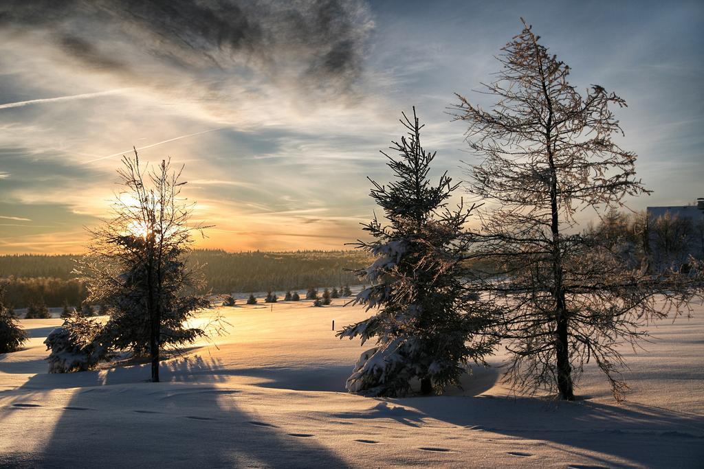 Hotel Krusnohorsky Dvur Cínovec Buitenkant foto
