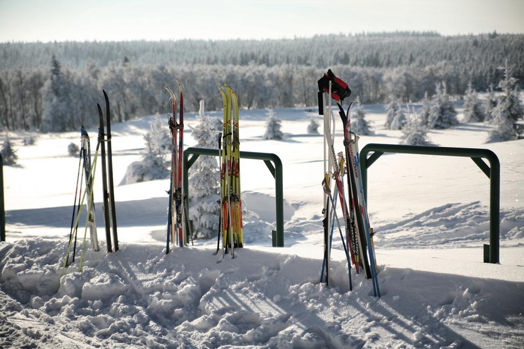 Hotel Krusnohorsky Dvur Cínovec Buitenkant foto