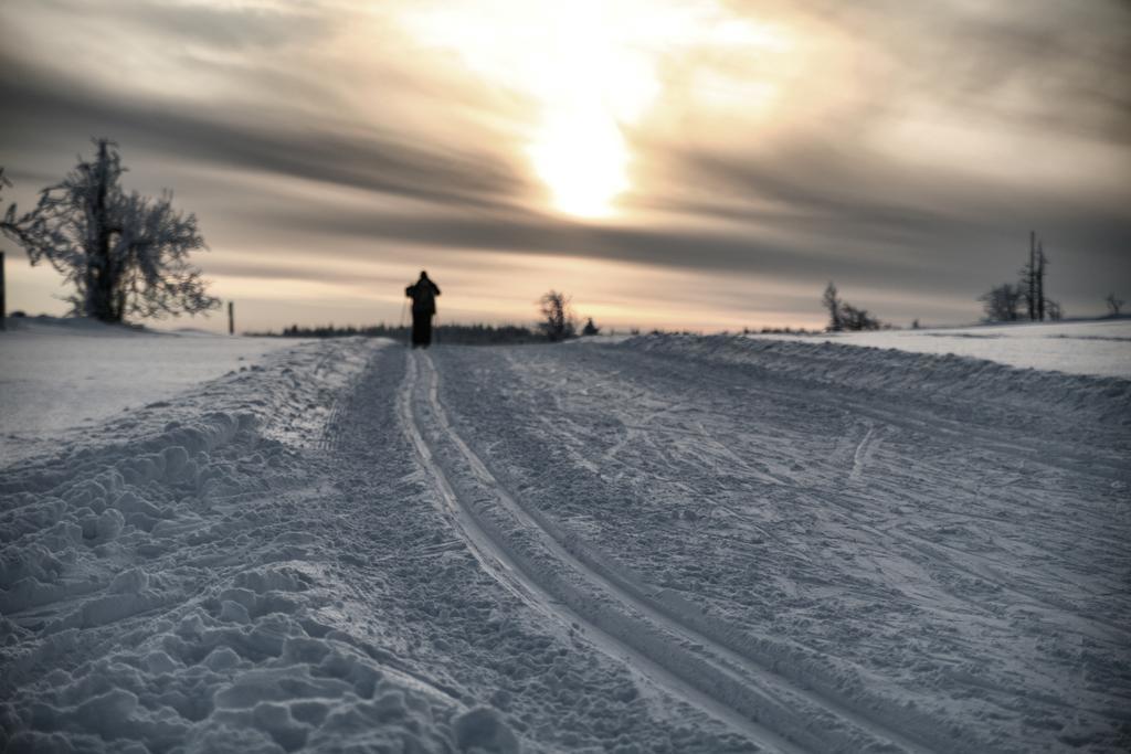 Hotel Krusnohorsky Dvur Cínovec Buitenkant foto