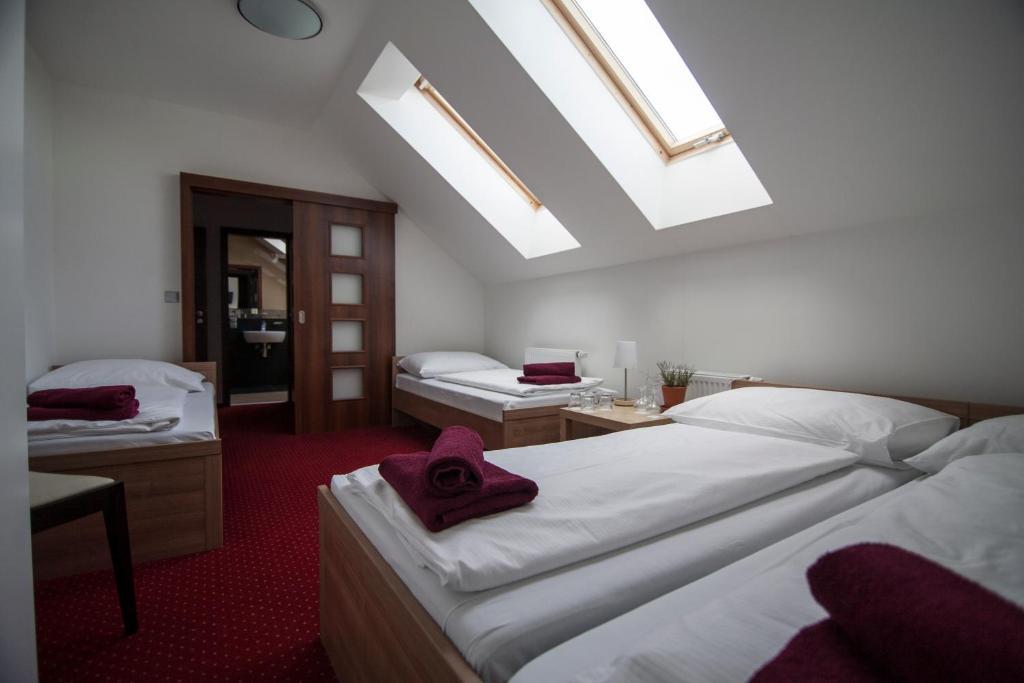 Hotel Krusnohorsky Dvur Cínovec Kamer foto